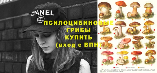 гашик Волоколамск