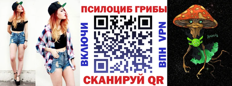 Галлюциногенные грибы Psilocybine cubensis  даркнет сайт  сайты даркнета телеграм  Шимановск 